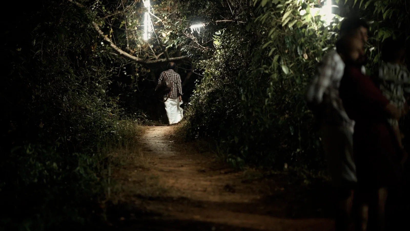 Night path near sacred grove
